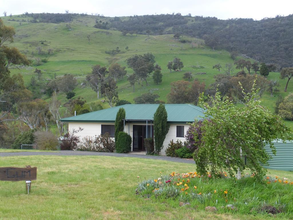 Elm Cottage Tumut Exterior foto